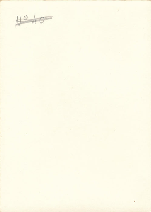 arbre 3 variations photo photographie v. 1960 nature paysage