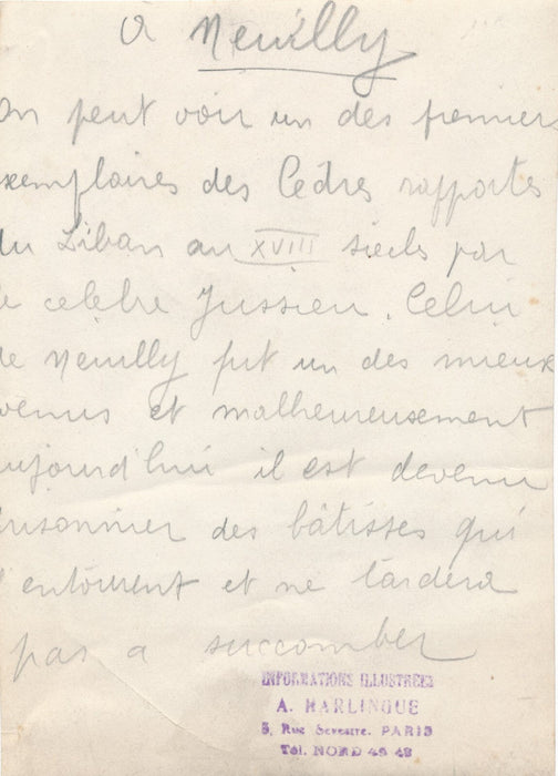 cèdre Liban Neuilly sur Seine photo photographie v. 1930 arbre