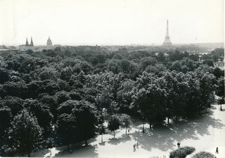 Cinéma Paris brûle-t-il ? 1966 René Clément Tuileries arbres photo photographie