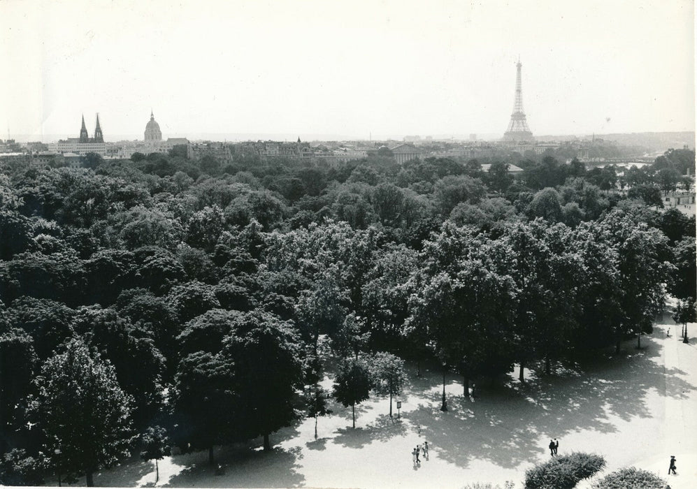 Cinéma Paris brûle-t-il ? 1966 René Clément Tuileries arbres photo photographie