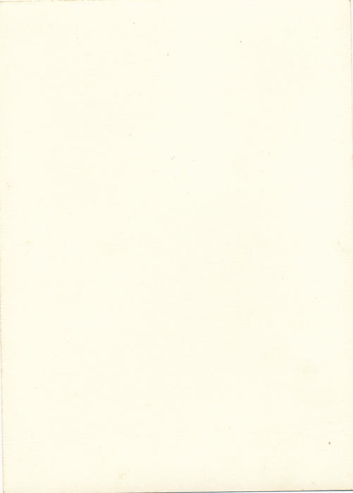 arbre 3 variations photo photographie v. 1960 nature paysage