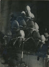 Nature morte exposition horticulture 1940 photo photographie fruits poires