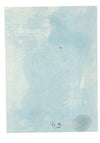 Paysage, Afrique, Asie ? cyanotype années 1920 paysage nature photo photographie
