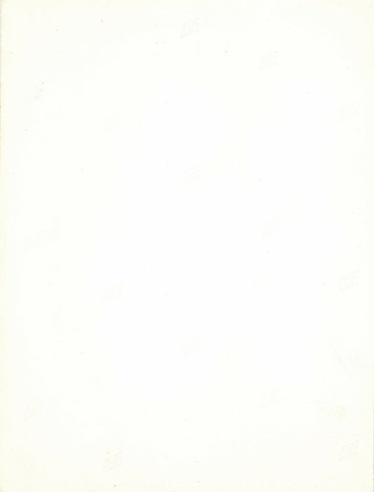 Balançoire années 1960 photo photographie époque mouvement effet