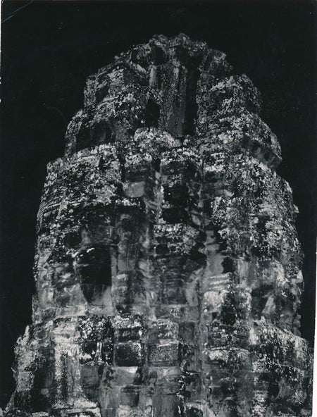 Rayon de miel photo photographie époque v. 1950nature abeille macrophotographie