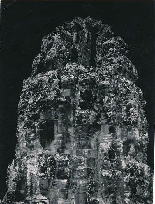 Rayon de miel photo photographie époque v. 1950nature abeille macrophotographie