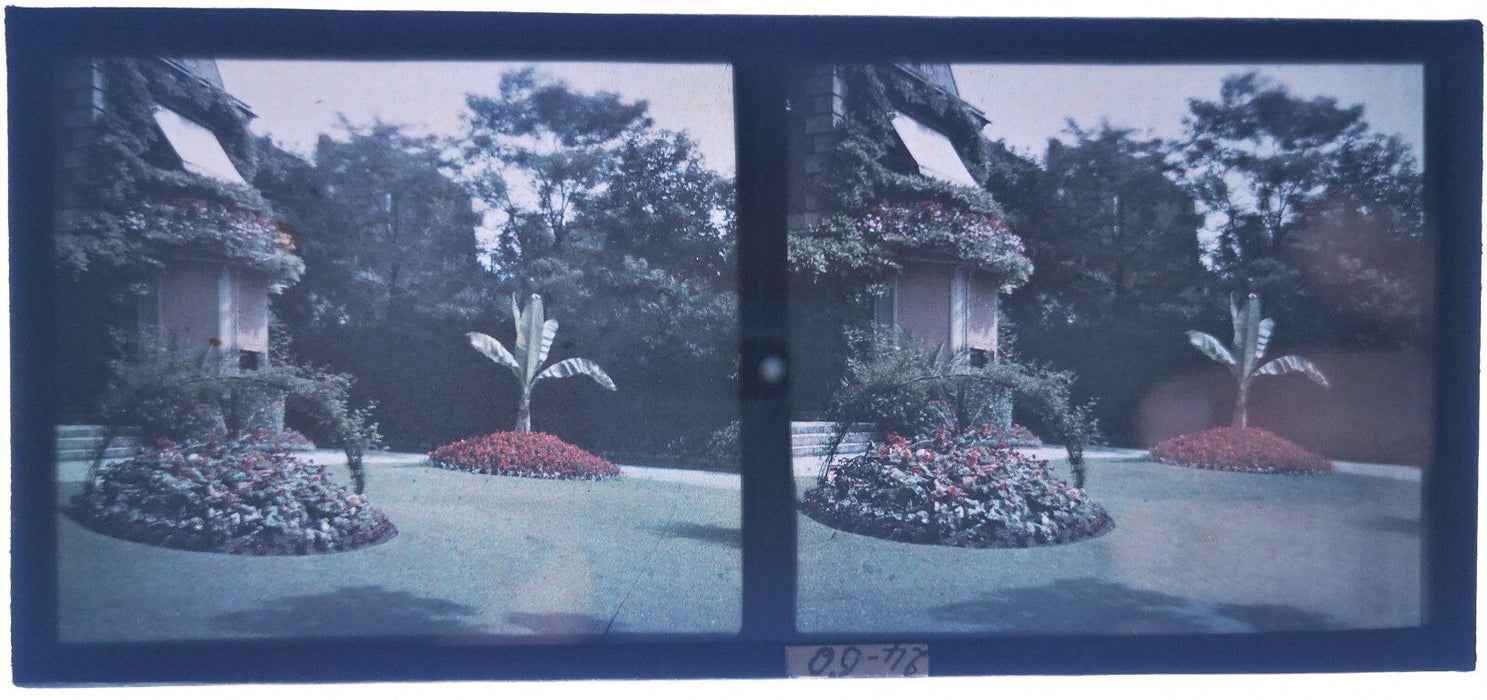 6 stéréo autochrome jardins fleurs photo photographie