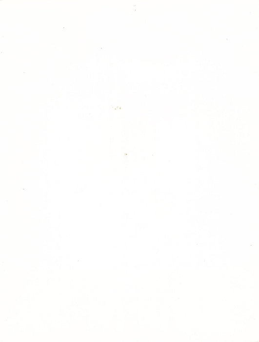 Photographie Plâtrerie usine carreaux plâtre industrie argentique époque tirage