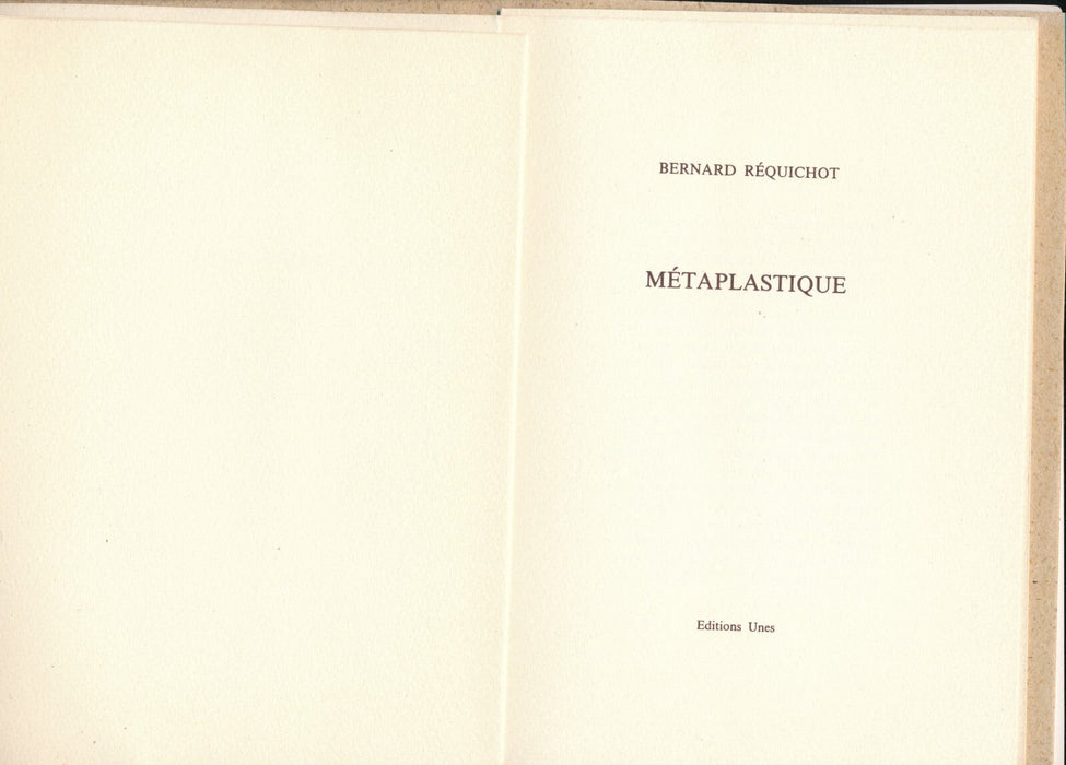 Bernard RÉQUICHOT métaplastique ouvrage Editions Unes 1995