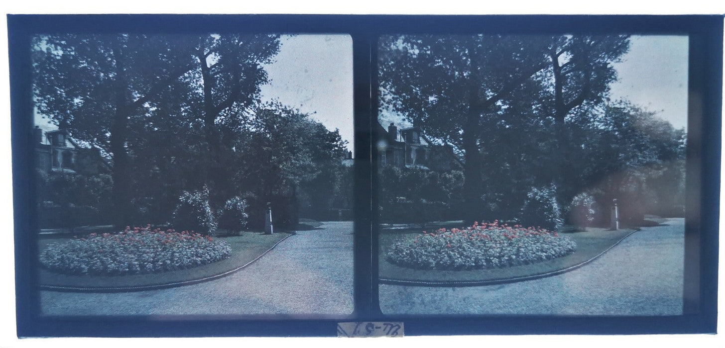 6 stéréo autochrome jardins fleurs photo photographie