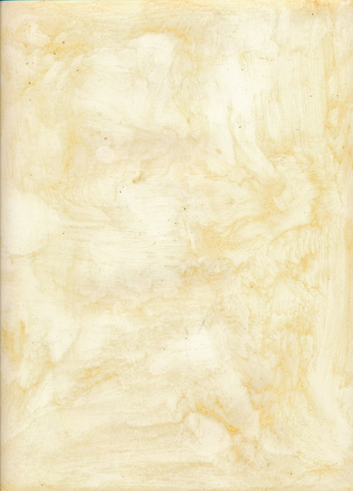 Le peintre quais de la Seine photo photographie fumée vers 1950 peinture