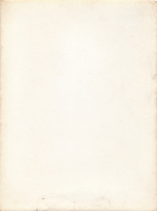 photo Intérieur design art déco argentique époque mobilier buffet panthère jouve