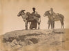 Hippolyte Arnoux égypte Port Saïd ânes albumine albumen  v. 1880 vintage photo