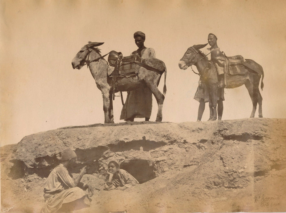 Hippolyte Arnoux égypte Port Saïd ânes albumine albumen  v. 1880 vintage photo