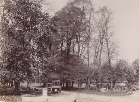 Campagne forêt voiture cheval arbres repos photo photographie citrate