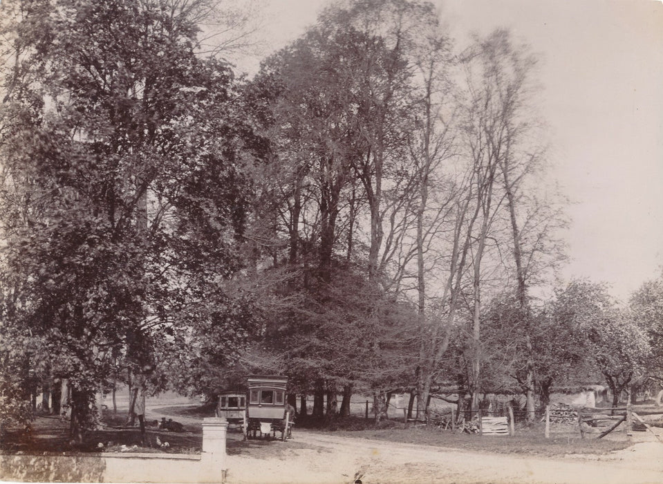 Campagne forêt voiture cheval arbres repos photo photographie citrate