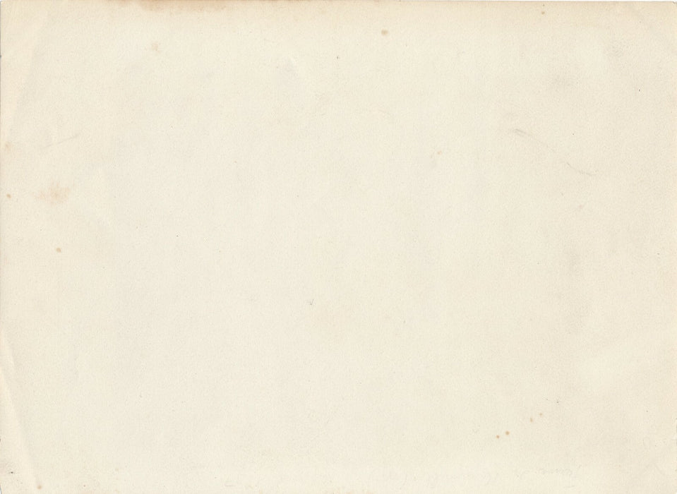 Campagne forêt voiture cheval arbres repos photo photographie citrate