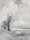 photo Paysage hiver argentique époque années 1950 arbre forêt