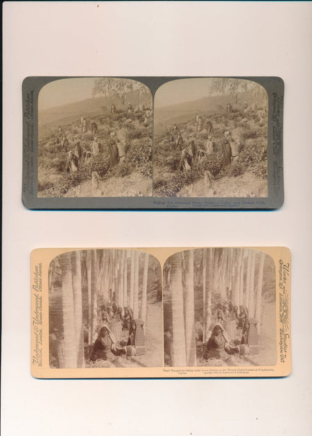 Ceylan 2 cartes stéréoscopiques photo photographie stereo stéréo