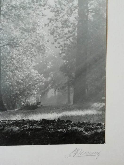 photo Paysage pictorialisme Anvers M. Creemers, Antwerpen Belgique v. 1930