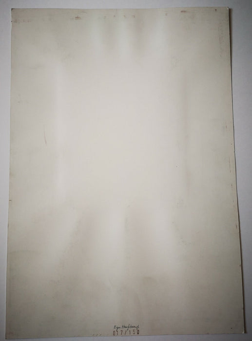 F. Hanfstaengl album Der Zeitgenossen 1975 22 photographies dont Liszt Wagner...