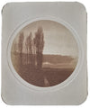Album Photographie v. 1910 photo photographie couleur musicien paysage
