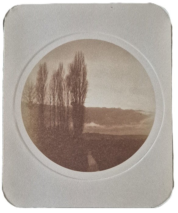 Album Photographie v. 1910 photo photographie couleur musicien paysage