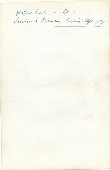 Jacques MAUHIN suite de 6 photographie par Michel SIMA peinture photo