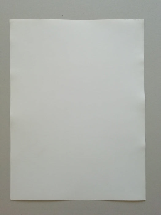 Etude femmes n° 2 photographie argentique époque v. 1980 curiosa