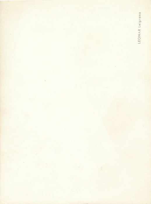 portrait chien 2 tirages argentiques époque v. 1940-1950 photographie