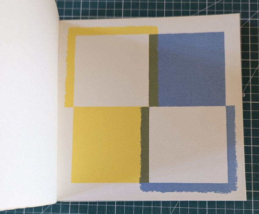 Albert Ayme Paradigme du bleu et jaune catalogue 1976 photo sérigraphies