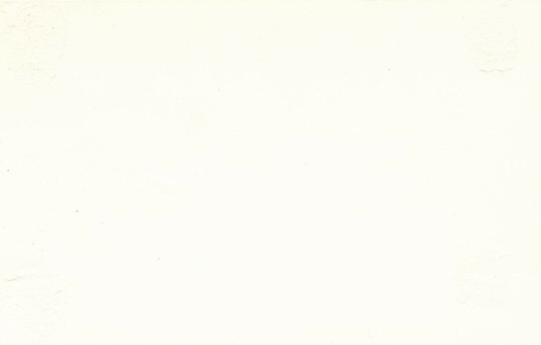 César des trois-quarts X 2 photo photographie époque vintage argentique