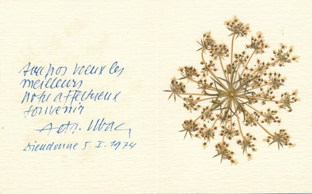 Raoul UBAC carte voeux 1974 envoi autographe avec fleur séchée