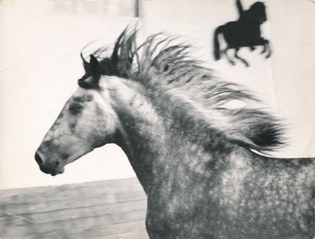 Cheval photo montage Francis Hayem v. 1970 photo photographie insolite crinière