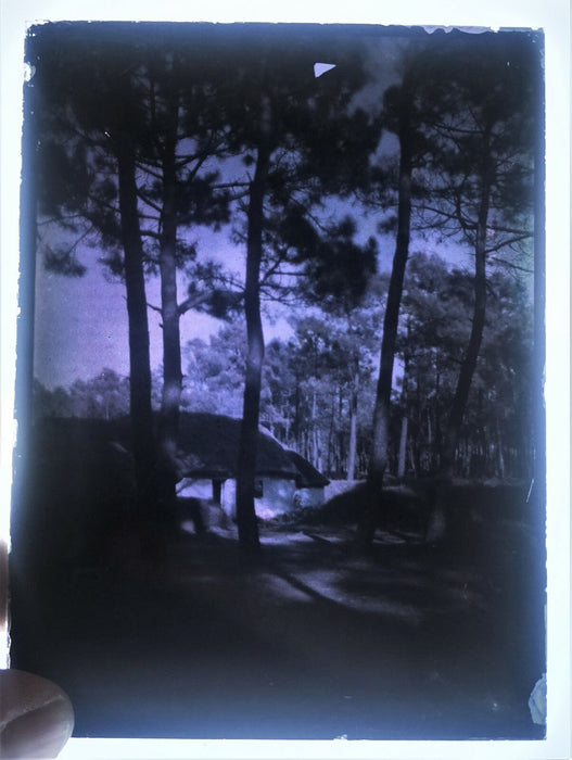 3 autochrome maison toit chaume Normandie 9 x 12 cm photo photographie