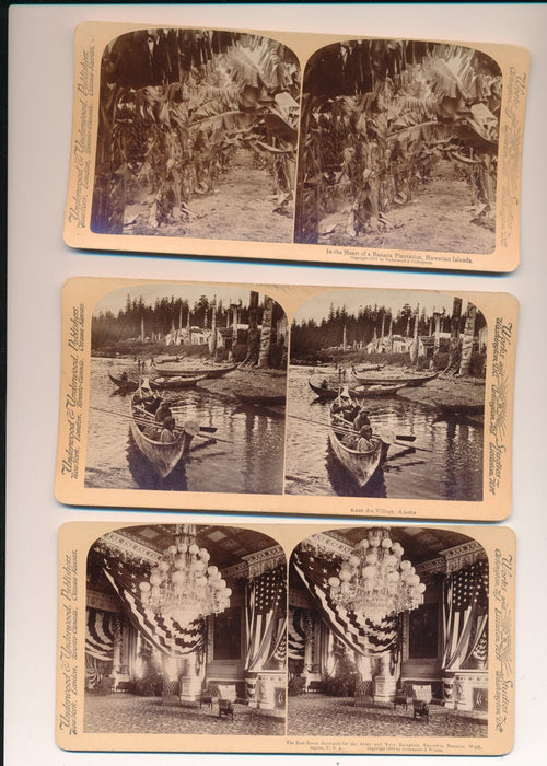 Hawaï et Alaska 2 stereo stéréo albumine photo photographie