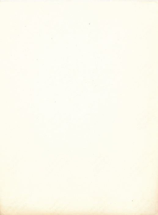 Jeans Levi’s 2 photo photographies époque concours finale v. 1960