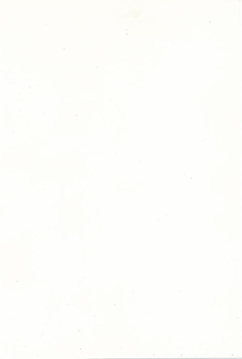 Portrait de jeune fille photographie époque années 1980 bouche oeil beauté