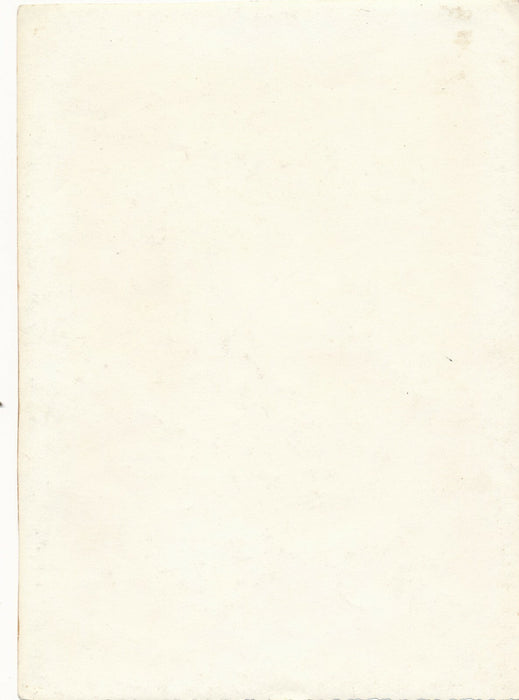 Couple vieux vie sociale fête fleurs photo photographie