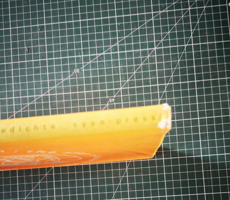 SCARDANELLI Hautabziehn The Alien of Hölderlin signé num 1996 4 photo originales