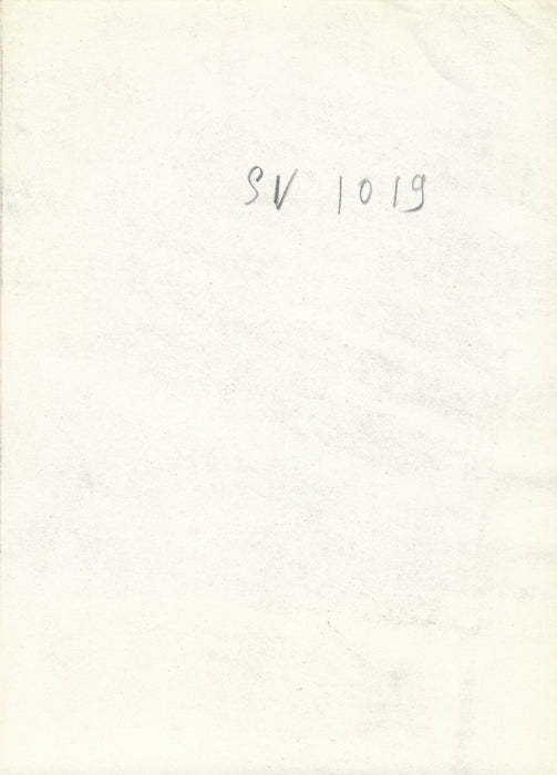 Volley ball, amateur photo photographie sport saut photographie argentique