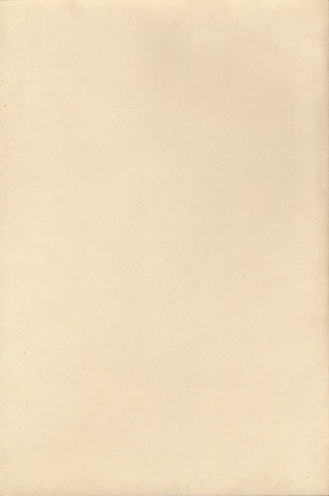 nu Photographie photo 2 études tirage argentique époque v. 1940 sexy sein