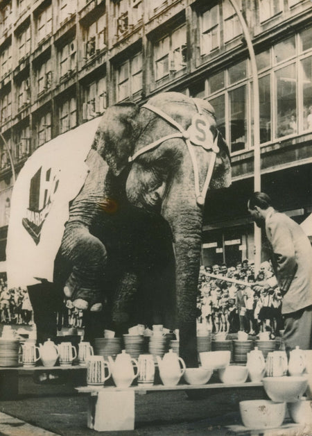 Elephant Berlin est Aeros cirque photographie argentique d'époque 1964 éléphant