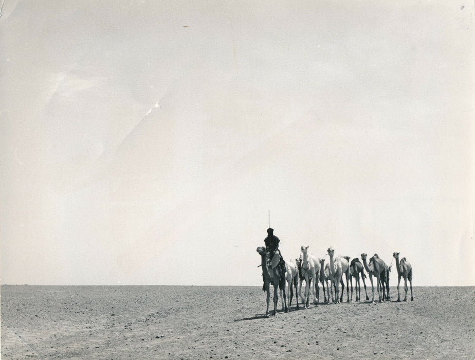 Niger désert du Ténéré photo photographie dromadaire argentique vintage