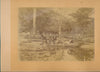 Rio Janeiro 1892 Brésil x 2 photo albuminé albumen Achille Israël fièvre jaune