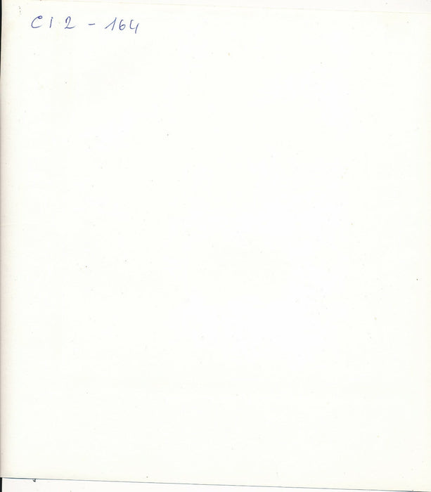 arbres fils électriques poteaux photo photographie v. 1970 paysage nature