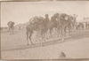7 photos photographie BOUANANE Maroc vers 1920 colonialisme, protectorat