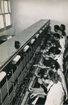 Standard femmes travail ouvrière photo époque années 1950