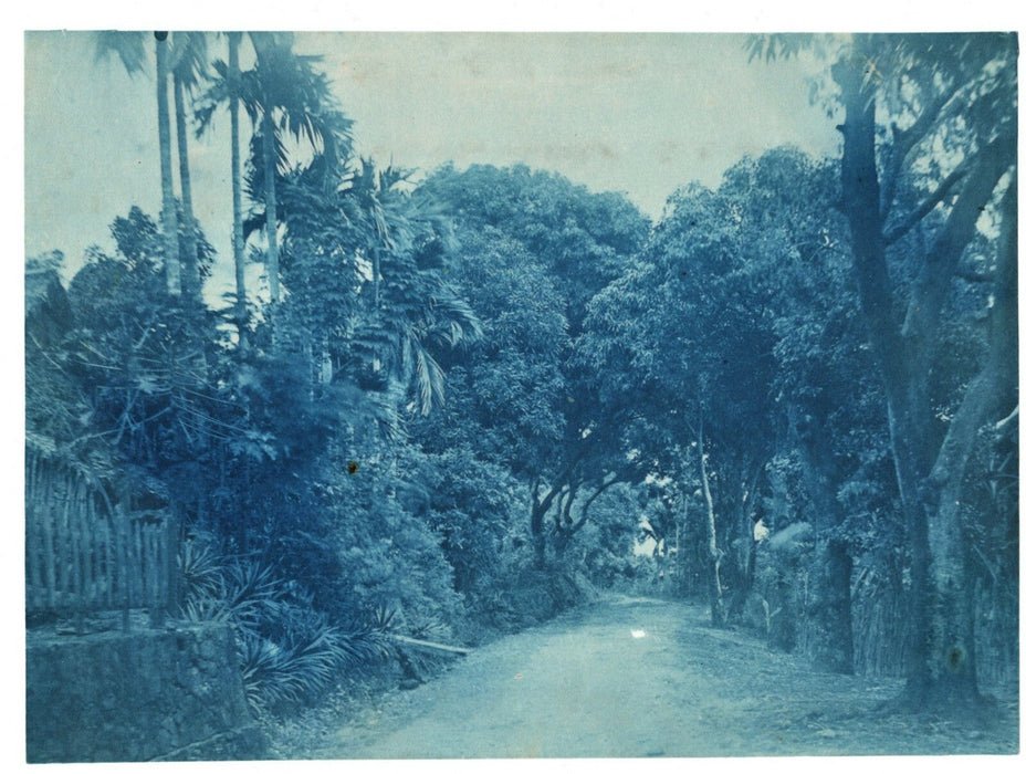 Paysage, Afrique, Asie ? cyanotype années 1920 paysage nature photo photographie
