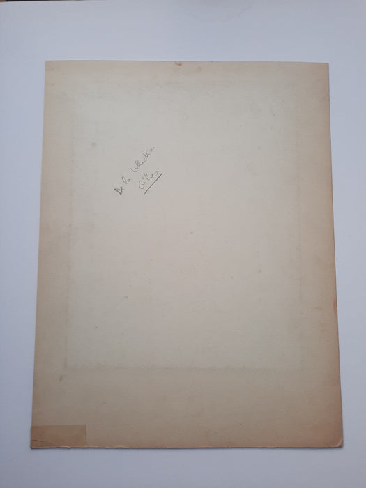 Coll. Albert GILLES 2 portraits dames haute société photo photographuies v. 1900